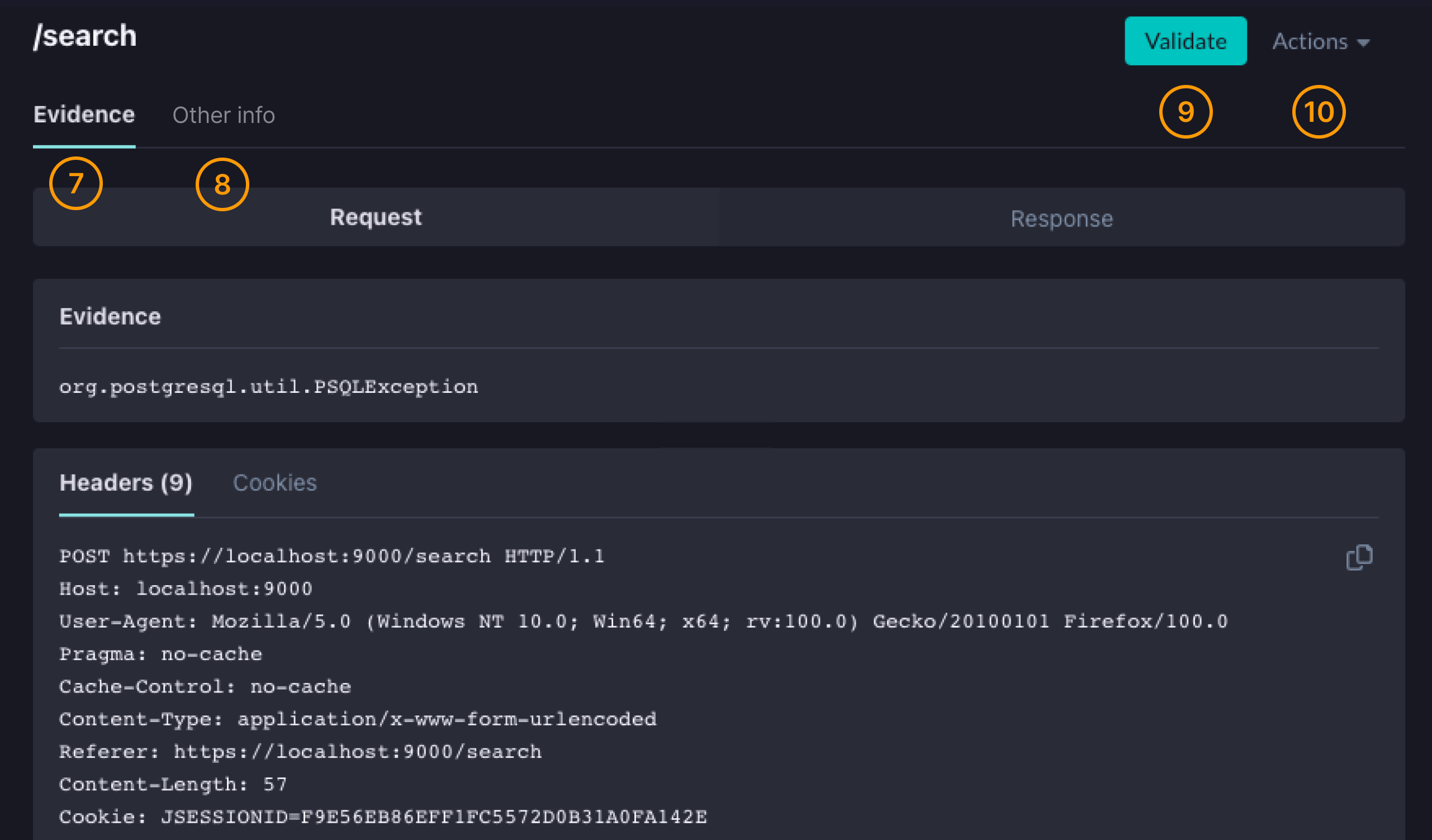 StackHawk Findings Details - right side